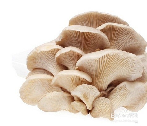 如何把吸进肺里的雾霾清理出来?