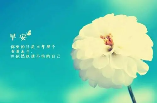 早安暖心话短句