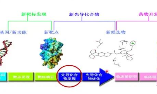discovery studio能共价对接吗