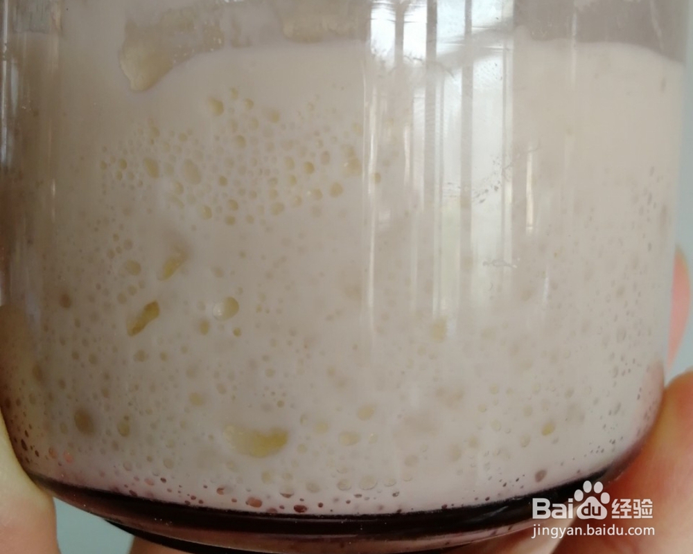 酥到掉渣的葡萄干天然酵母