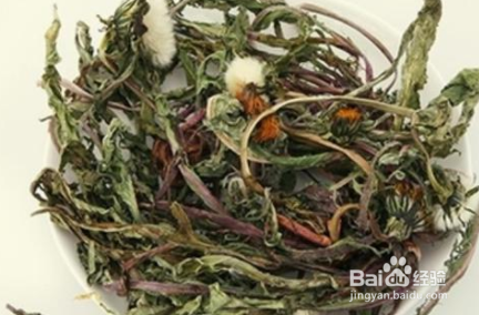 蒲公英怎样泡茶才好喝呢