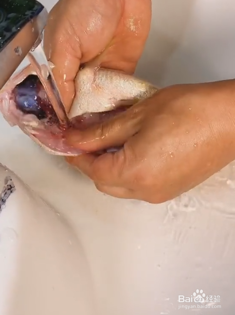 蒸大黄鱼的做法