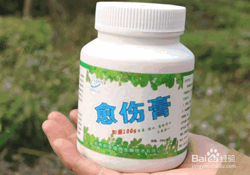 树木栽植中各类养护药剂的应用技术