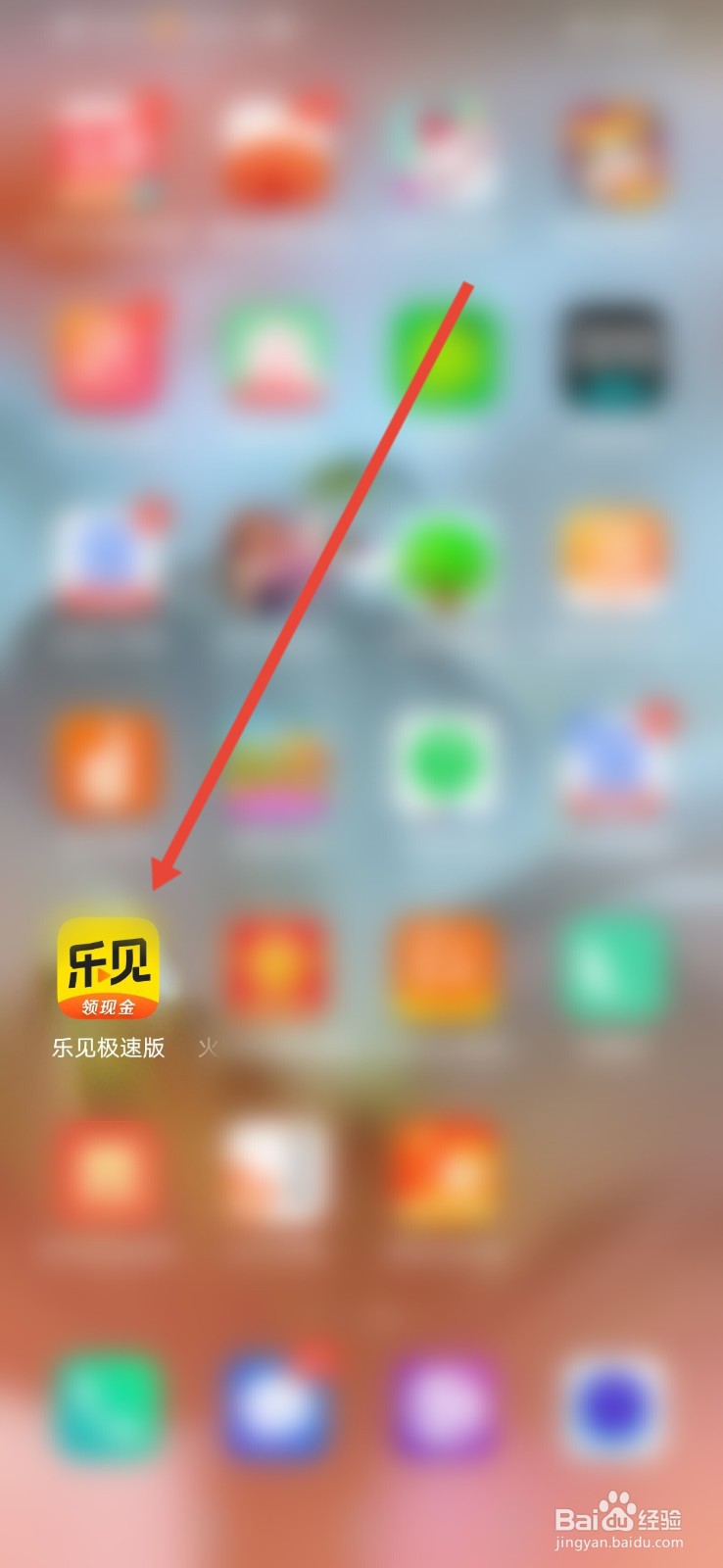 乐见极速版怎么查看零钱明细