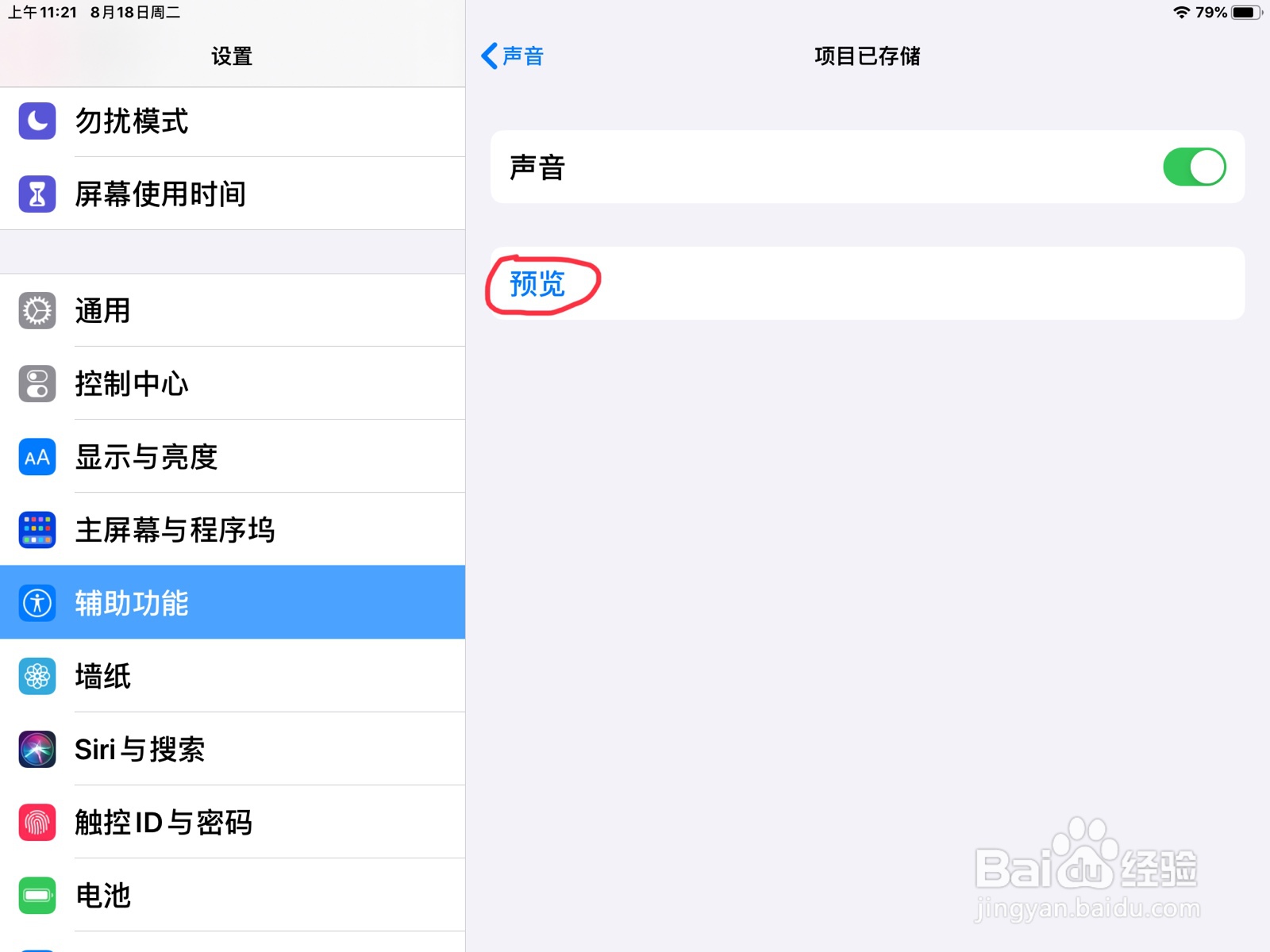 iPad怎么在旁白设置项目已存储的预览