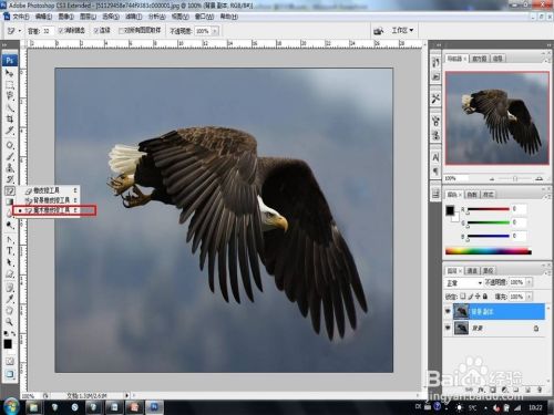 Photoshop CS3抠图技巧：[1]“魔法橡皮擦”