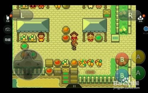 口袋妖怪究极之日攻略