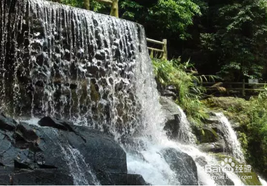 端午出游,这几个负离子旅游地是首选