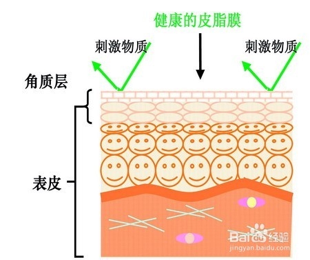 教你识别过敏肌肤和敏感肌肤法
