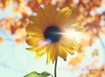 皮肤过敏怎么办？如何预防？