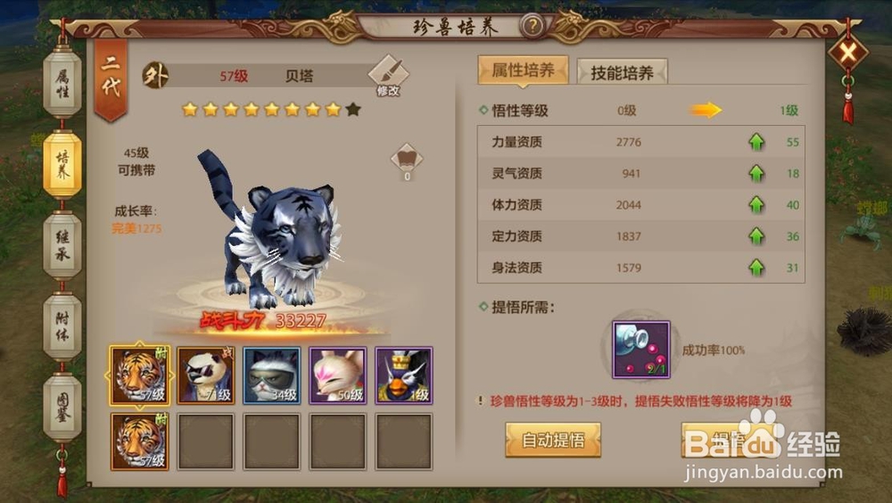 天龙八部洗练丹怎么用