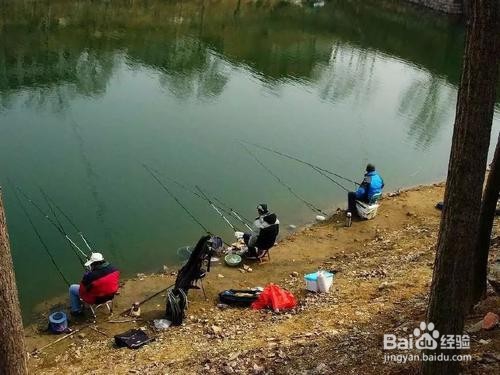 如何认知冬钓技巧