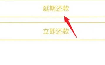 美团APP延期还款怎么申请