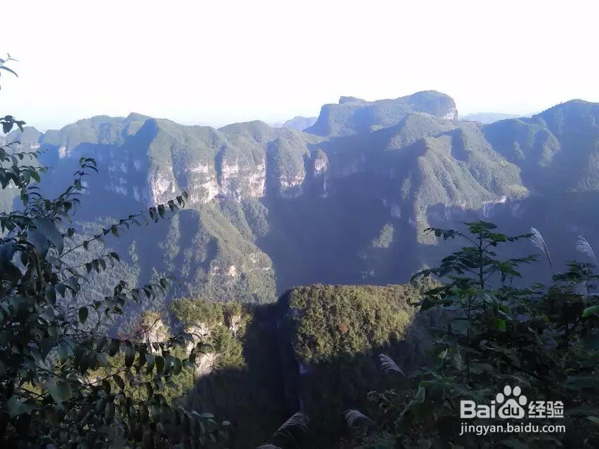 面试公考注意要点