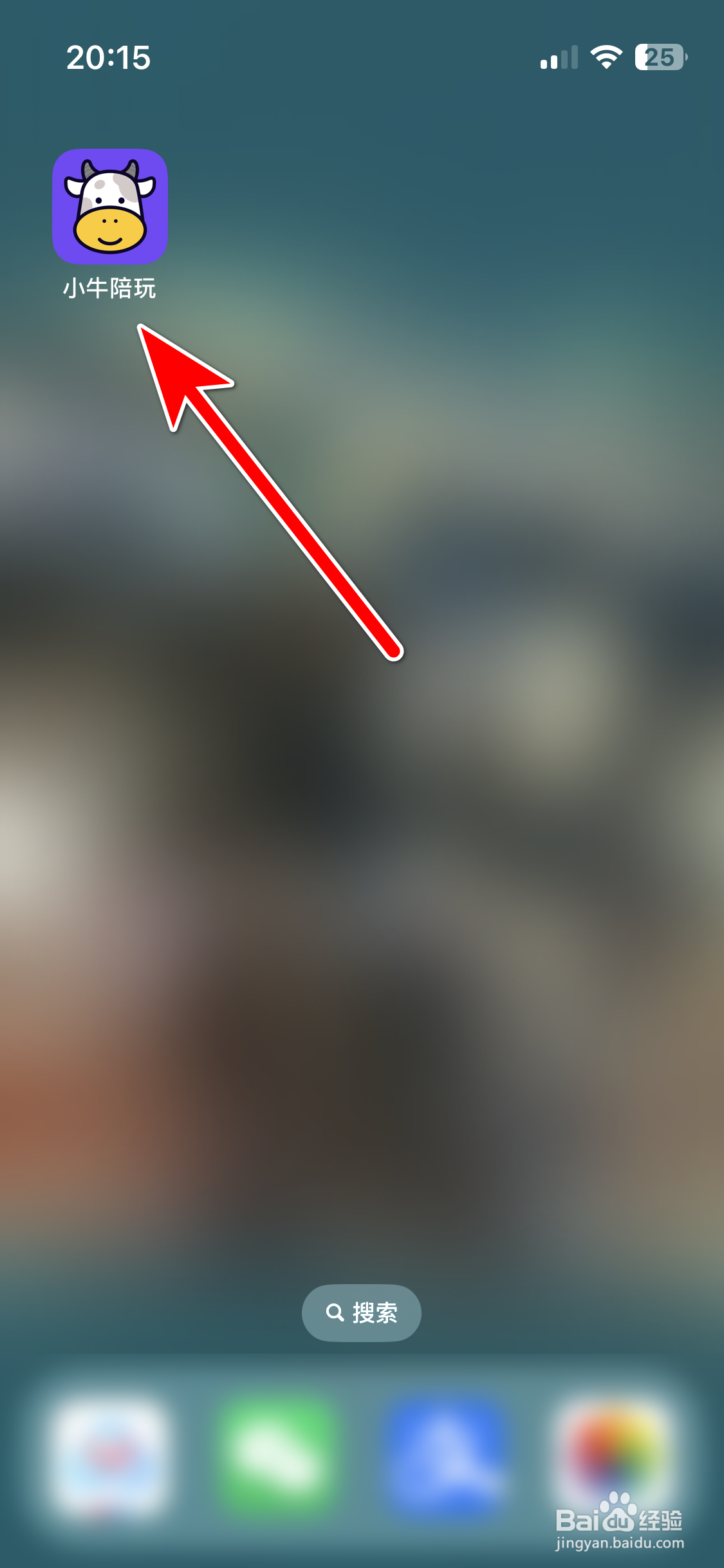 小牛陪玩如何查看用户协议