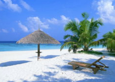 如何节约旅游成本