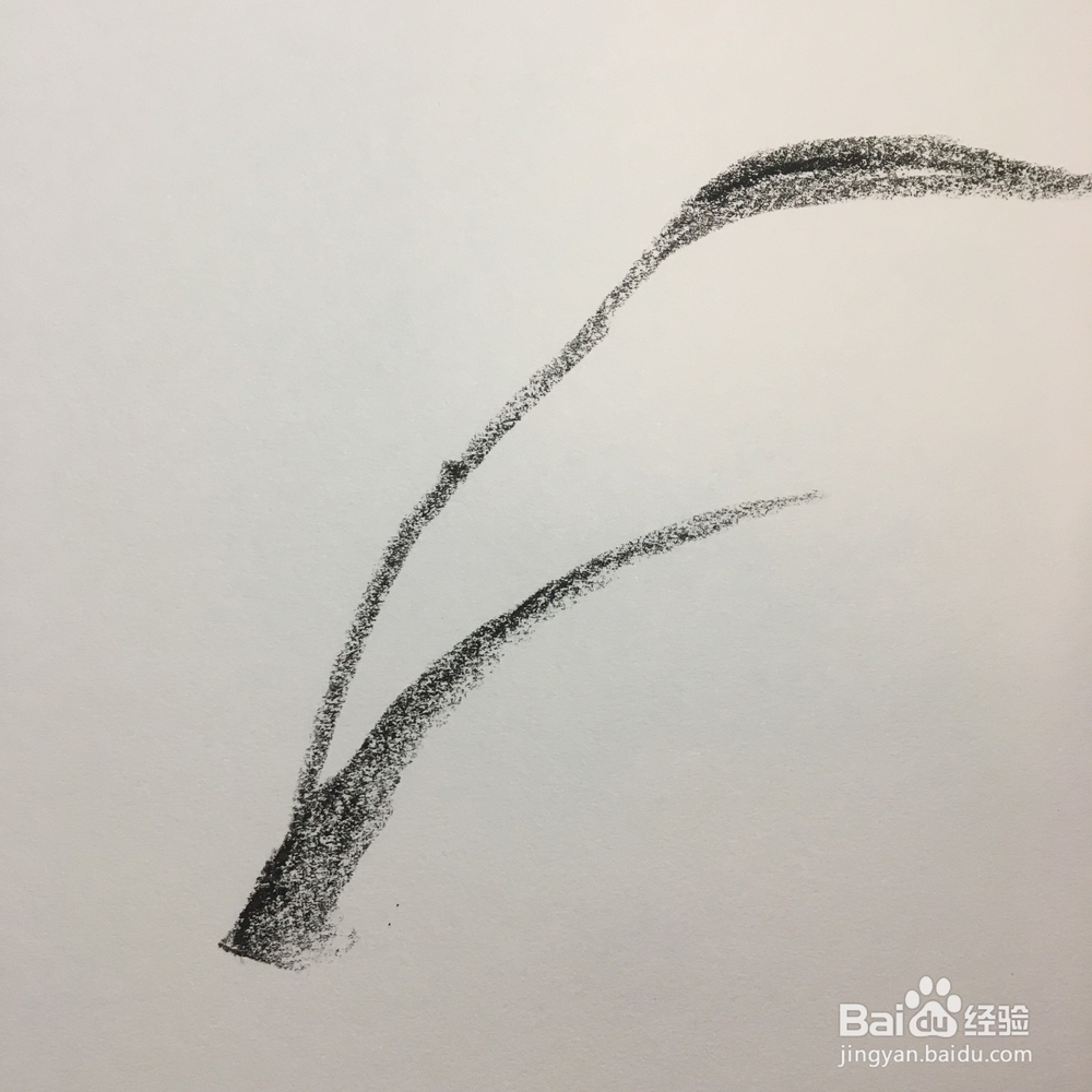 儿童油棒画：枝头上的蜓蜻