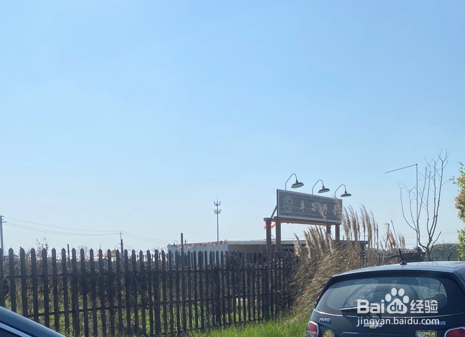 无锡植物大战僵尸农场旅游攻略