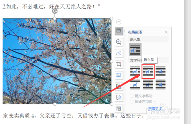 Word文字技巧—如何设置文字环绕图片