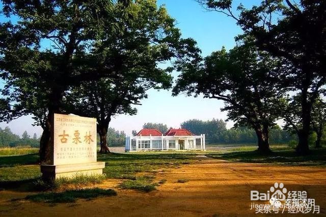 带你细数那些年沭阳有什么