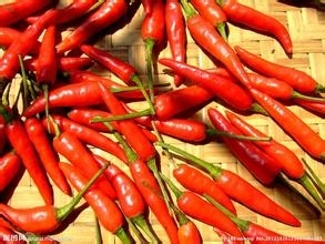 高血脂怎么保养