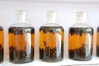 老年人吃什么补品好