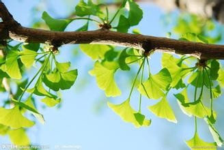 环境对生物有什么影响