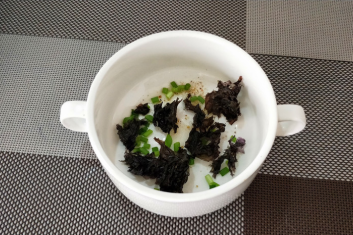 鲜美又有营养-三鲜馄饨