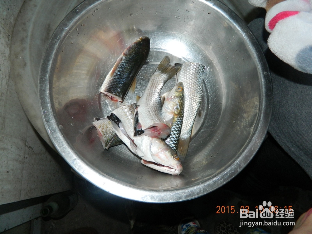 家常烹饪梭子鱼