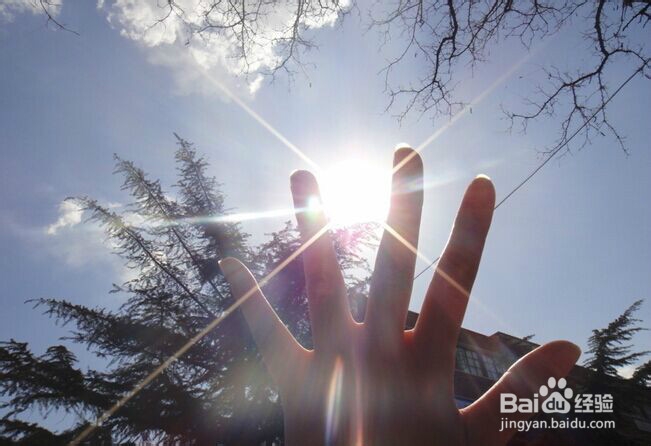 你说，去哪里享受一下阳光呢？