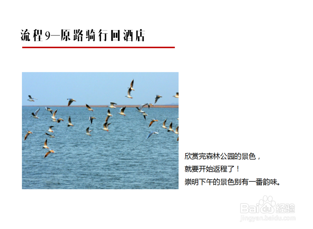 活动策划案具体策划方案