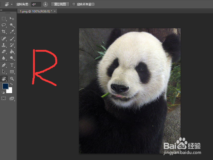 PS如何快速旋转图片，图层，旋转工具在哪
