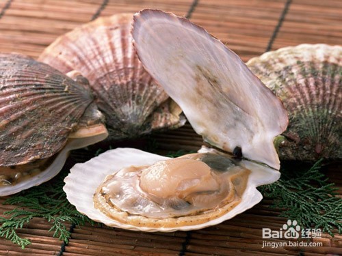 扇贝怎么保存?
