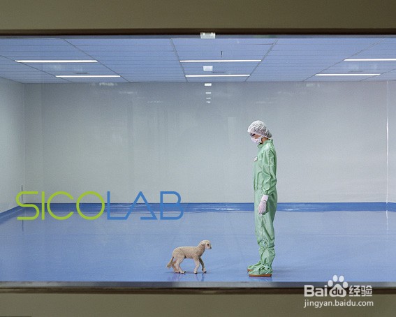 SPF动物房实验室建设方案SICOLAB