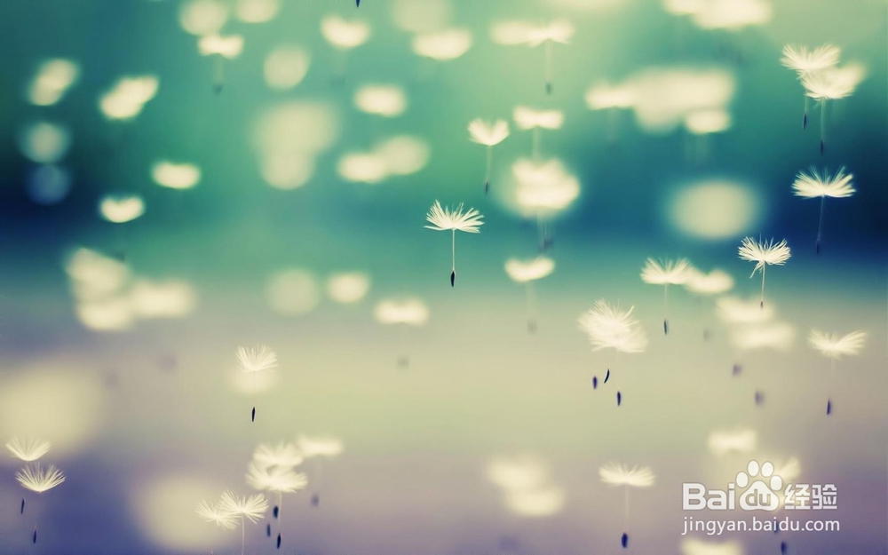 痤疮症状与防治