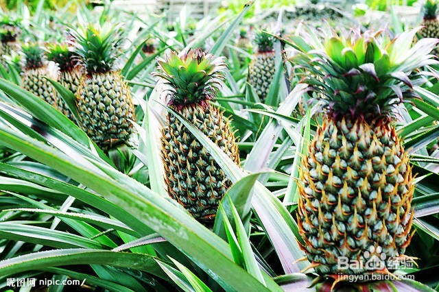 新车异味大怎么办？新车异味大怎么消除