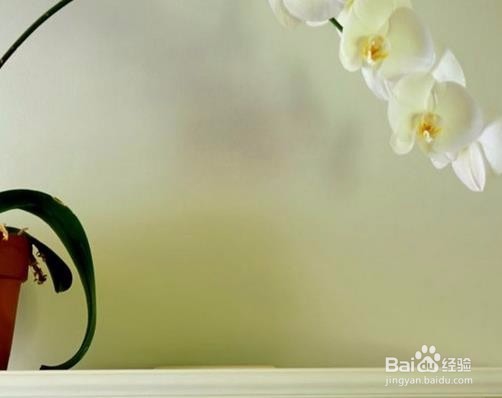 干锅外卖店如何装修