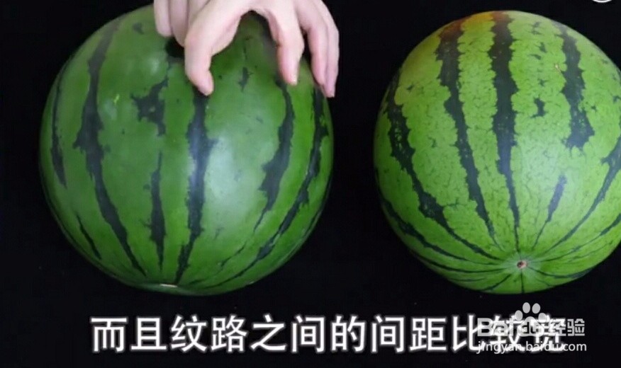 如何挑选又甜又新鲜的西瓜？