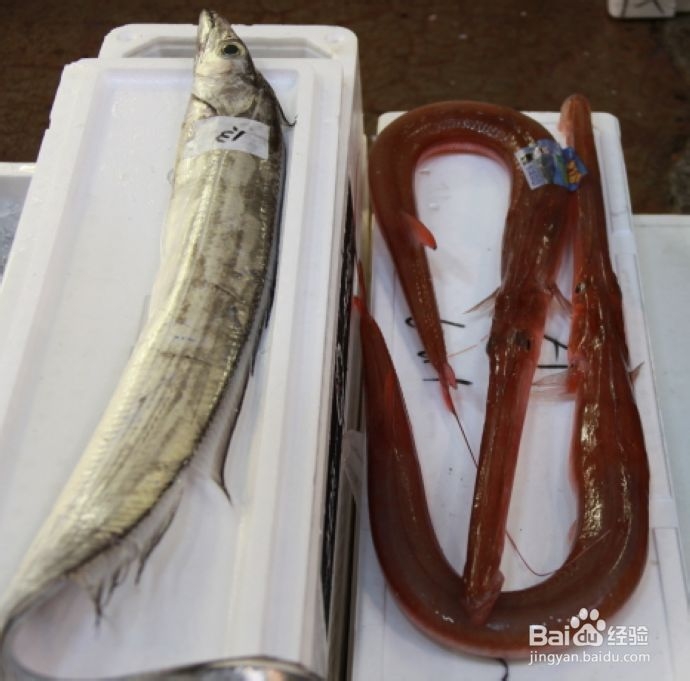 海洋减肥食品为你狂减脂让你坐立瘦