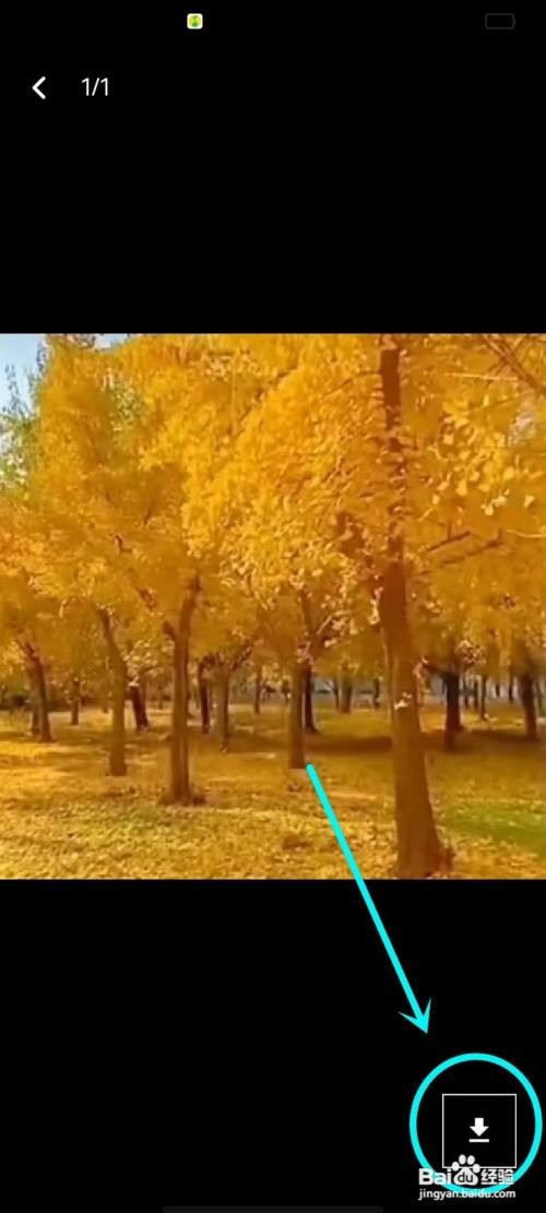 小陪伴语音app头像如何保存到相册