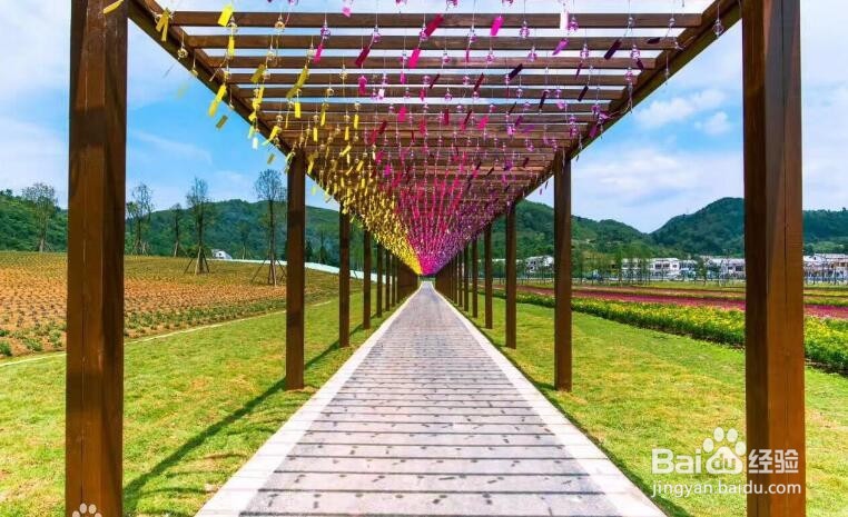 走进山里江南 领略夏日不一样的味道