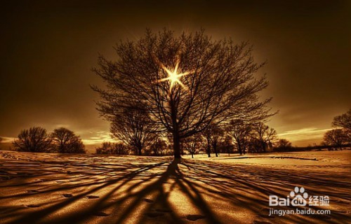 如何忘记一个人?