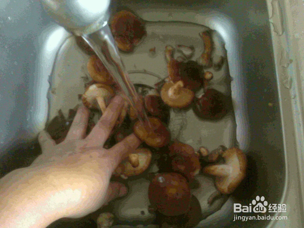 老年人怎样做好素炒香姑的备料