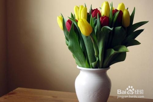 切花的延衰保鲜方法