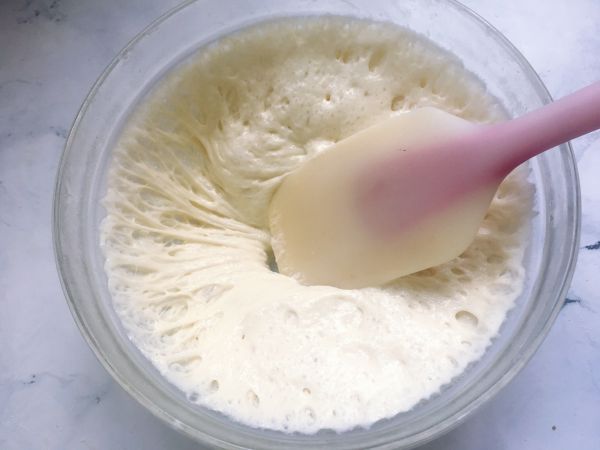 《黑麦坚果包》