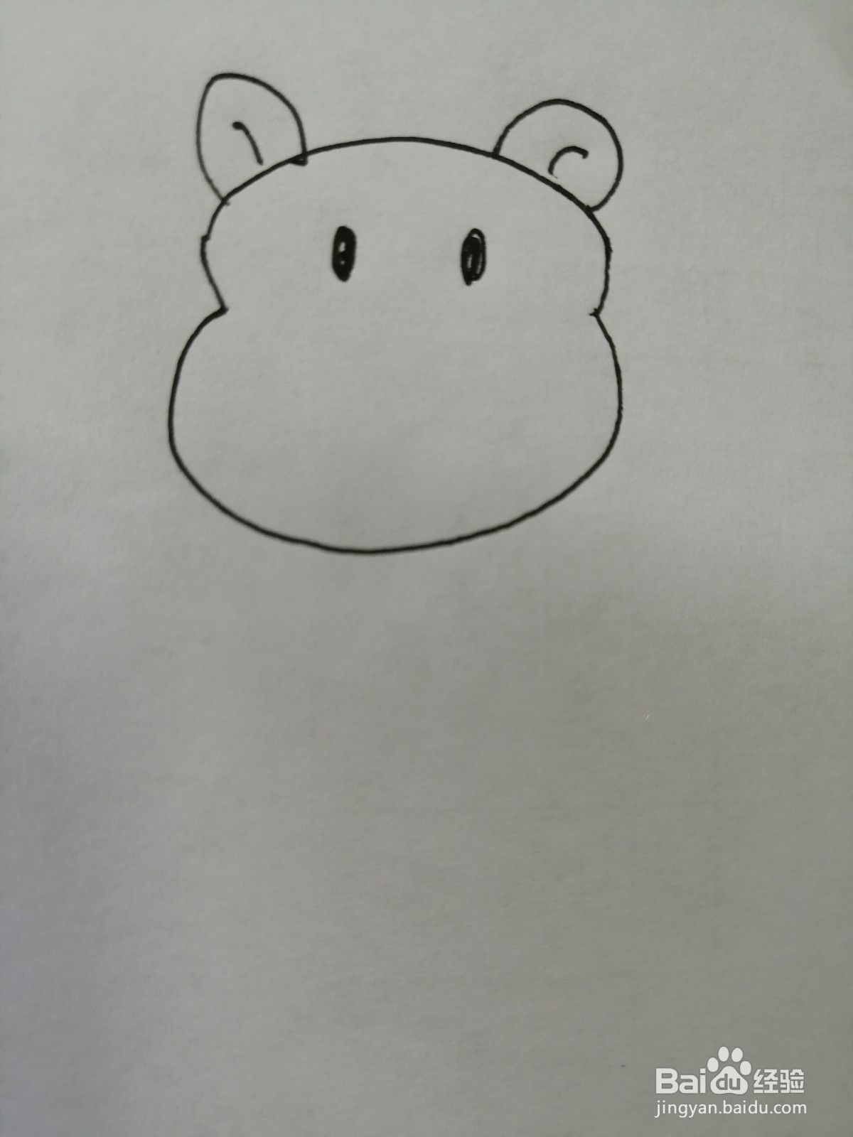 可爱的小河马怎么画