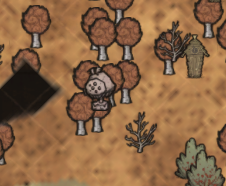 饥荒-怎么快速加精神?