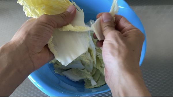 浓汤白菜炖粉条
