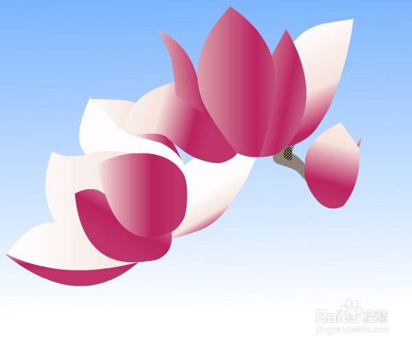 flash鼠绘——木兰花