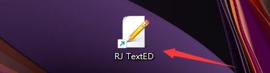 RJ TextED如何设置检测所有编码和字码页
